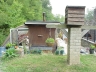 The K.O.G.T. Greenhouse--LOTS of one-of-a-kind plants on the property